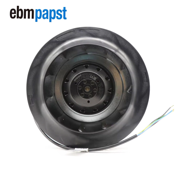 EnzBW-01